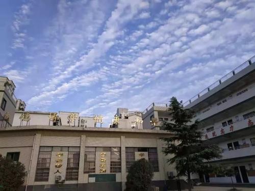 20200909100521139745.jpg 2.jpg