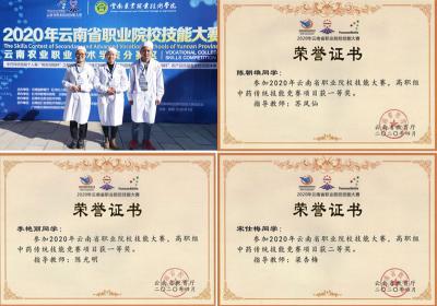 技能大赛再获佳绩 师生选手载誉而归 我校在2020年云南省学生大赛上再获佳绩