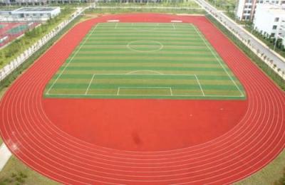 杭州职达外国语学院足球场