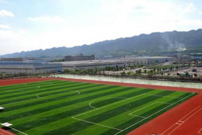 重庆健康职业学院足球场