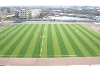 宁波体育运动学校足球场