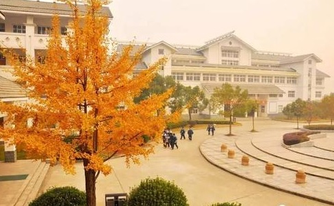 20200910153339130446.jpg 2.jpg