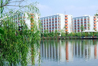 20200911173324109472.jpg 66.jpg