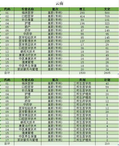 墨江县职业高级中学2020年招生录取分数线