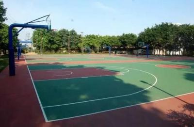 泰顺县石雕艺术学校篮球场