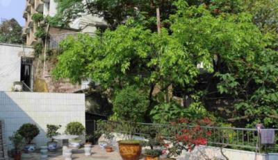 重庆医药经贸卫生学校校园一角