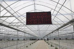 重庆广播电视中等专业学校校园一角