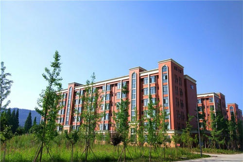 20200915142925825349.jpg 5.jpg