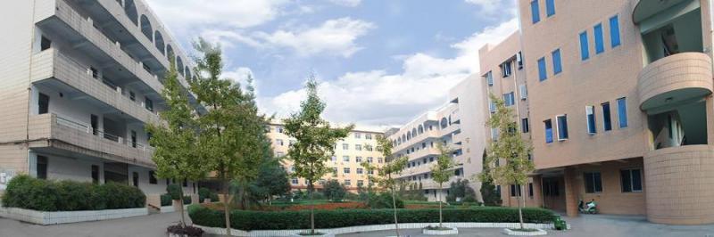 20200917134053375710.jpg 7.jpg