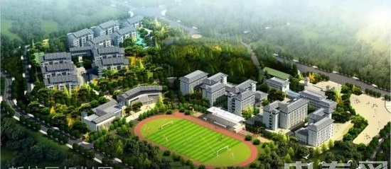 20200918104951557089.jpg 8.jpg