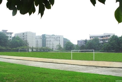 20200922142125929873.jpg 44.jpg