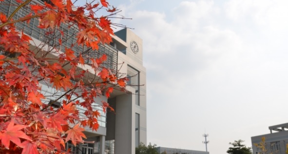 20200923092212139138.jpg 10008.jpg