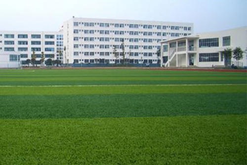 20200923110759416203.jpg =33.jpg