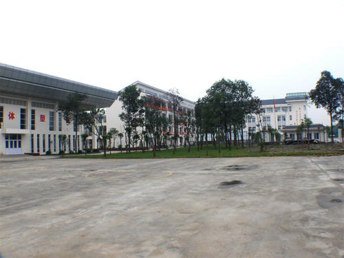 20200923111059606446.jpg 33.jpg