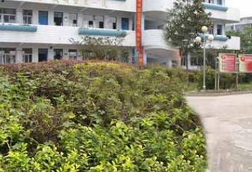 江苏兴化中等专业学校校园环境