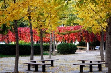 江苏高港中等专业学校校园环境