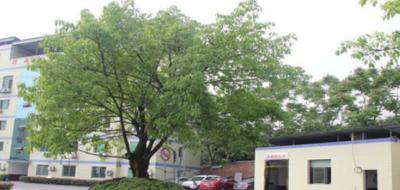 重庆经济建设职业技术学校教学楼