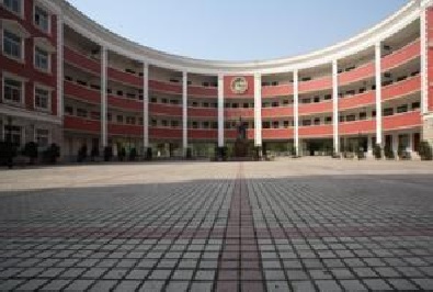 20200924102948103590.jpg =186.jpg