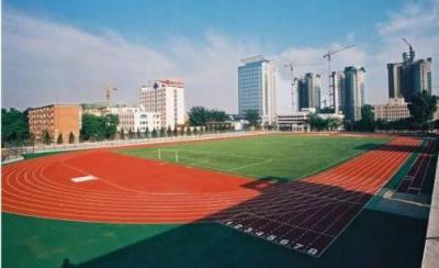 杭州中策职业学校足球场