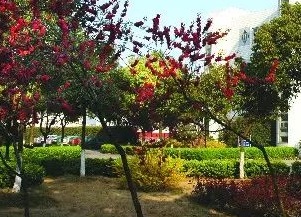 盐城盐南中等专业学校校园环境