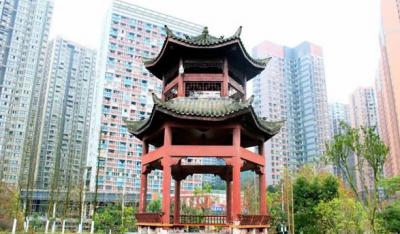 重庆知行卫生学校校园一角