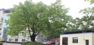 重庆知行卫生学校校园一角