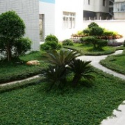 重庆长寿卫生学校校园一角