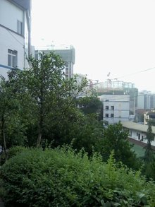 重庆医药经贸卫生学校校园一角