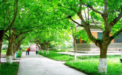 贵阳中铁置业中加学校校园