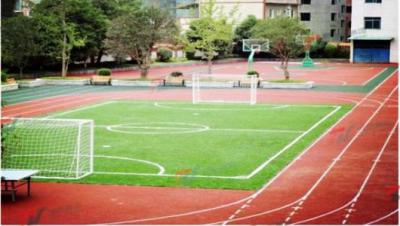 黔东南州民族高级中学足球场