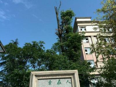 文轩职业学校校园环境