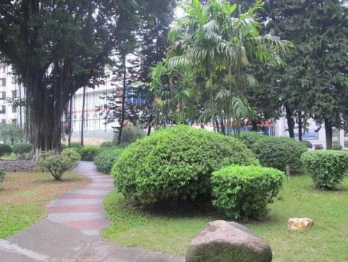 20201013173440290550.jpg wrwe.jpg