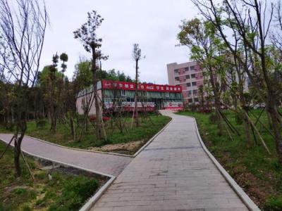巴中联翔职业学校2020年录取分数线