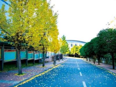 六盘水市第三中学校园