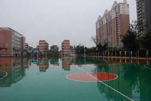 20201016152557130971.jpg dsarewa.jpg