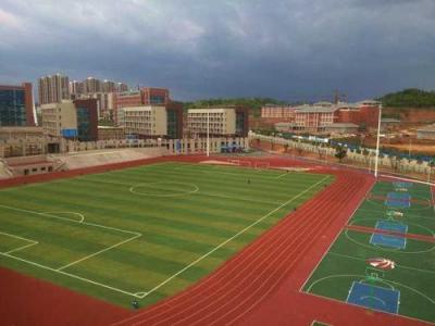 乐山欣欣艺术职业学校田径场