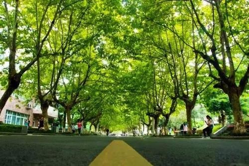 20201023172631318435.jpg 88.jpg