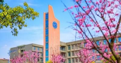 四川科技职业学院2020年招生计划