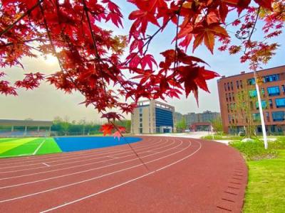 田径场