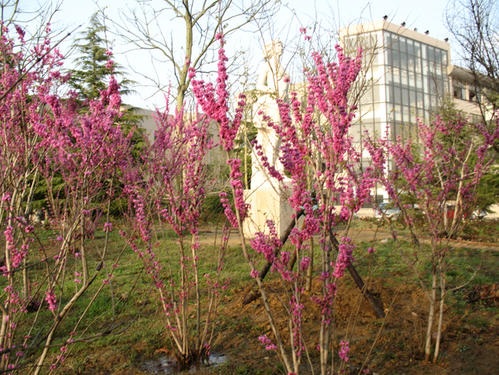 20201106094736421754.jpg 15.jpg