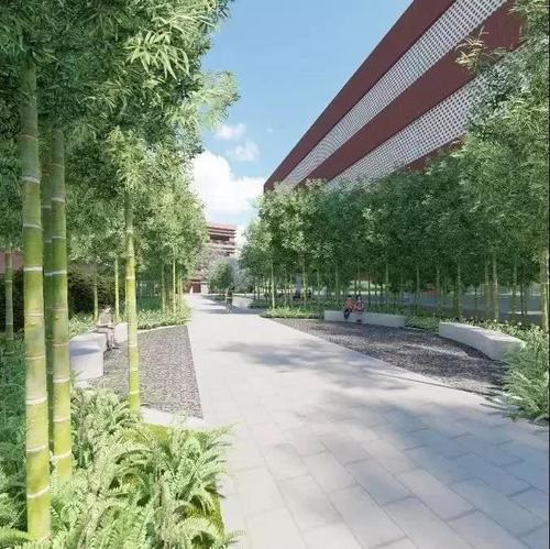 20201106141636500115.jpg 11.jpg