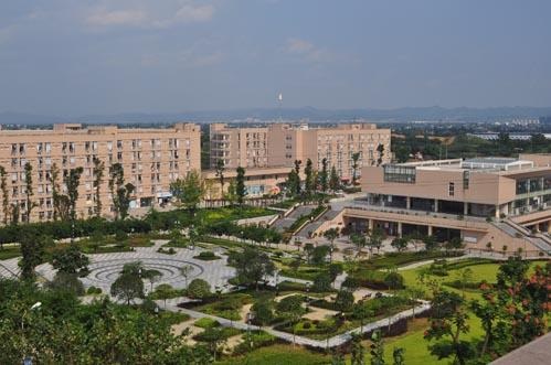 20201106173316321232.jpg 44.jpg