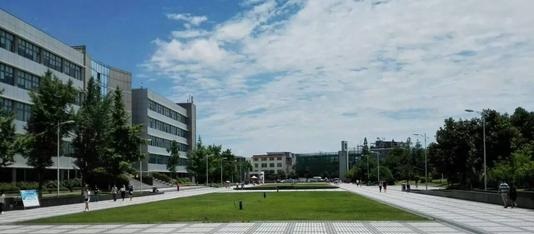 20201109133830776207.jpg 7.jpg