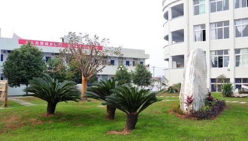 20201109164514165500.jpg 44.jpg