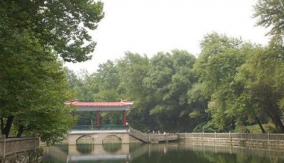 学校风景