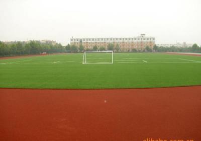 重庆云阳凤鸣中学足球场
