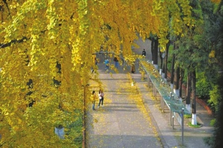 20201113165518926603.jpg 44.jpg