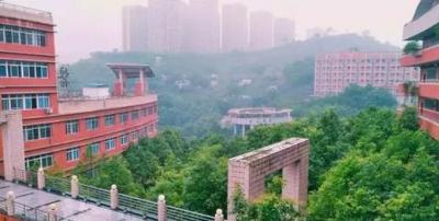 重庆涪陵第五中学2020年排名