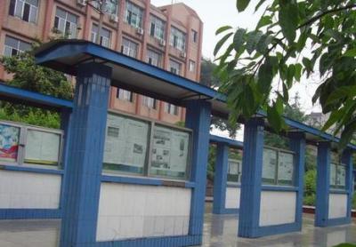 重庆北碚王朴中学2020年排名