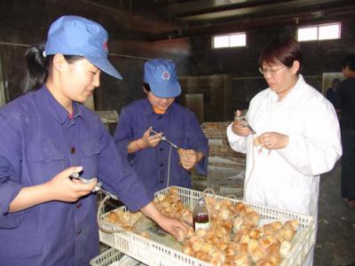 动物防疫与检疫专业